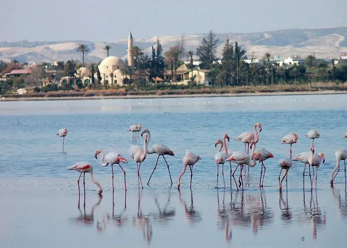 Ithaki Phinikoudes 307 Appartement Larnaca